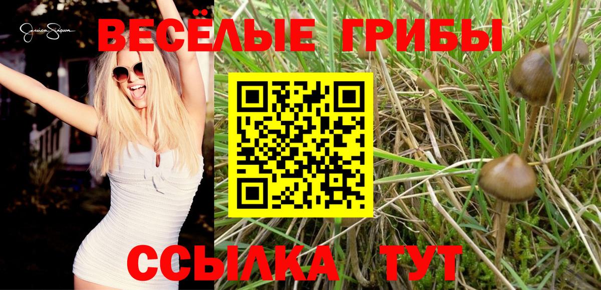 Псилоцибиновые грибы Psilocybine cubensis Ижевск
